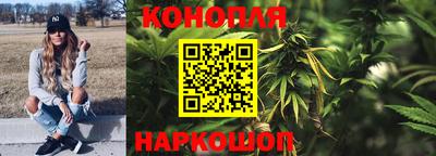 крисы Волжск