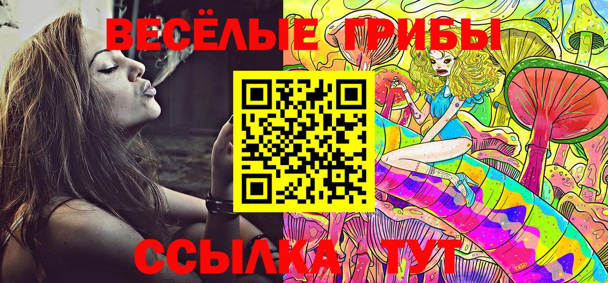 Галлюциногенные грибы MAGIC MUSHROOMS Кузнецк